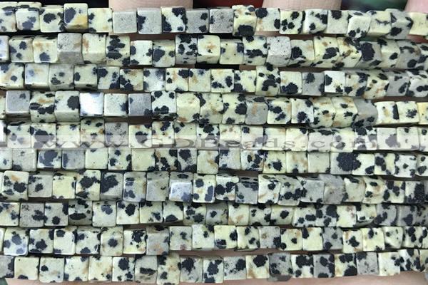 CUBE142 15 inches 4mm cube dalmatian jasper gemstone beads