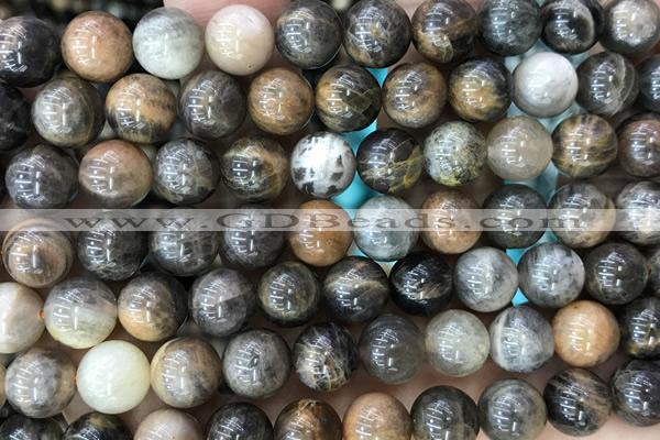 SUNS06 15 inches 8mm round black sunstone gemstone beads