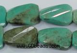 CAA101 15.5 inches 18*25mm faceted & twisted rectangle grass agate beads