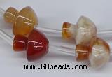 CAA1193 15.5 inches 15*16mm mushroom sakura agate gemstone beads