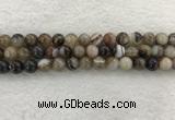 CAA1813 15.5 inches 10mm round banded agate gemstone beads