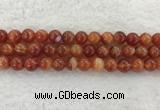 CAA1904 15.5 inches 12mm round banded agate gemstone beads