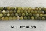 CAA1953 15.5 inches 10mm round banded agate gemstone beads