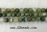 CAA1986 15.5 inches 16mm round banded agate gemstone beads