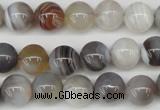 CAA225 15.5 inches 10mm round botswana agate gemstone beads