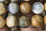 CAA2350 15.5 inches 8mm round crazy lace agate beads wholesale