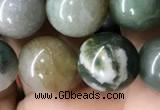 CAA2366 15.5 inches 10mm round Indian agate beads wholesale