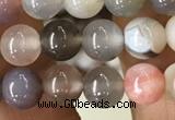 CAA2379 15.5 inches 6mm round Botswana agate beads wholesale