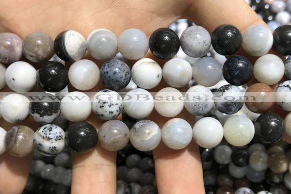 CAA3578 15.5 inches 10mm round parral dendrite agate beads