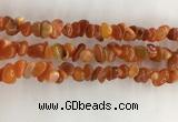 CAA3806 15.5 inches 4*6mm - 8*10mm chips red agate beads wholesale