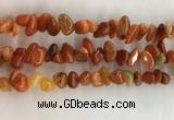 CAA3807 15.5 inches 8*12mm - 10*14mm chips red agate beads wholesale