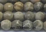 CAA3961 15.5 inches 6mm faceted round chrysanthemum agate beads