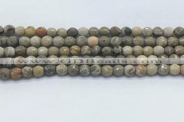 CAA3961 15.5 inches 6mm faceted round chrysanthemum agate beads