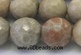 CAA3965 15.5 inches 14mm faceted round chrysanthemum agate beads