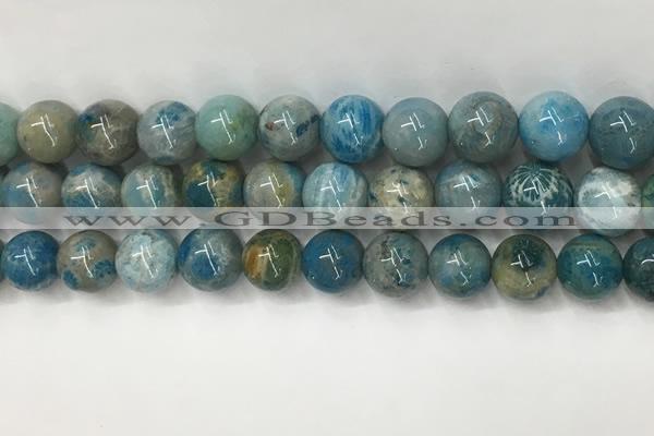 CAA3980 15.5 inches 12mm round chrysanthemum agate beads