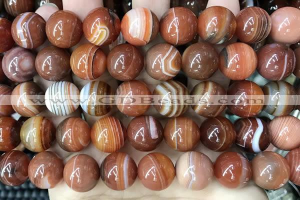 CAA4030 15.5 inches 14mm round line agate beads wholesale