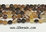 CAA4588 15.5 inches 12mm flat round banded agate beads wholesale