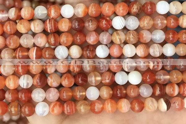 CAA5001 15.5 inches 6mm round red botswana agate beads wholesale