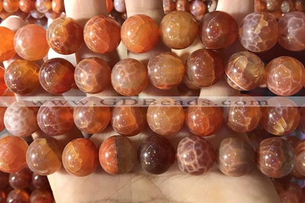 CAA5075 15.5 inches 14mm round red dragon veins agate beads