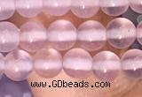 CAA5080 15.5 inches 4mm round purple agate beads wholesale