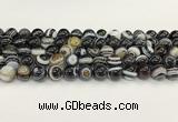 CAA5425 15.5 inches 10mm round agate gemstone beads