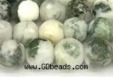 CAA5800 15 inches 6mm faceted round tree agate beads