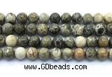 CAA6104 15.5 inches 12mm round chrysanthemum agate gemstone beads