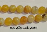 CAA89 15.5 inches 10mm round botswana agate gemstone beads