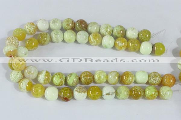 CAB663 15.5 inches 16mm round fire crackle agate beads wholesale