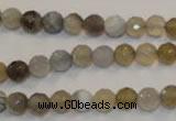 CAG2421 15.5 inches 6mm faceted round Chinese botswana agate beads