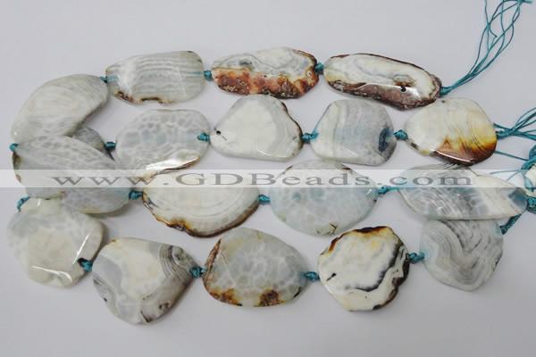 CAG5536 15.5 inches 25*30mm - 25*48mm freeform agate gemstone beads