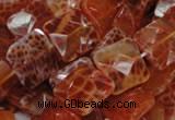 CAG650 15.5 inches 12*12mm faceted square natural fire agate beads