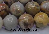 CAG6676 15.5 inches 16mm round natural crazy lace agate beads