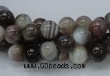 CAG736 15.5 inches 8mm round botswana agate beads wholesale