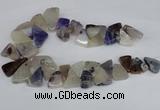 CAG8540 Top drilled 15*20mm - 25*30mm freeform dragon veins agate beads