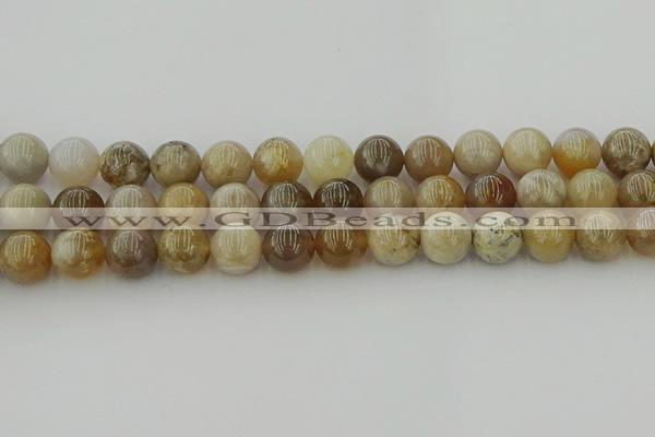 CAG9404 15.5 inches 12mm round ocean fossil agate beads wholesale