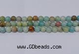 CAM04 10mm  round mixed color natural amazonite beads Wholesale