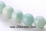 CAM18 15.5 inches round natural amazonite 10mm beads wholesale