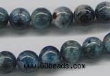 CAP06 15.5 inches 10mm round apatite gemstone beads wholesale