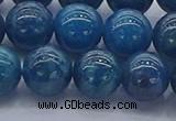 CAP363 15.5 inches 10mm round apatite gemstone beads wholesale