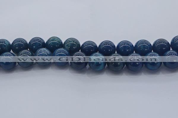 CAP367 15.5 inches 18mm round apatite gemstone beads wholesale