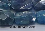 CAP399 15.5 inches 15*20mm faceted rectangle apatite gemstone beads