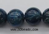 CAP404 15.5 inches 12mm round A grade natural apatite beads