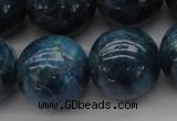 CAP405 15.5 inches 14mm round A grade natural apatite beads