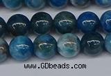 CAP412 15.5 inches 8mm round apatite gemstone beads wholesale