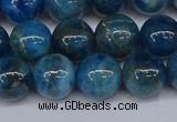 CAP413 15.5 inches 10mm round apatite gemstone beads wholesale