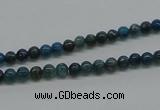 CAP51 15.5 inches 4mm round dyed apatite gemstone beads wholesale