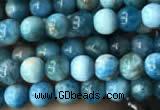 CAP576 15.5 inches 4mm round apatite beads wholesale