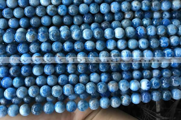 CAP583 15.5 inches 6mm round apatite gemstone beads