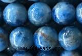 CAP585 15.5 inches 10mm round apatite beads wholesale